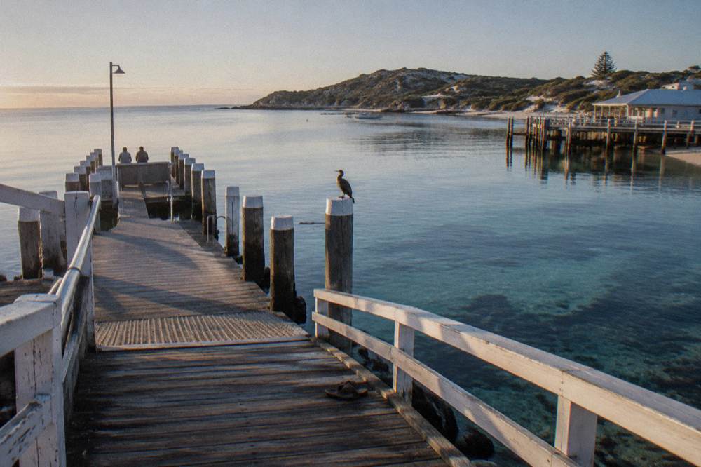 Morning light over the wooden jetty and calm water of Thomson Bay settlement