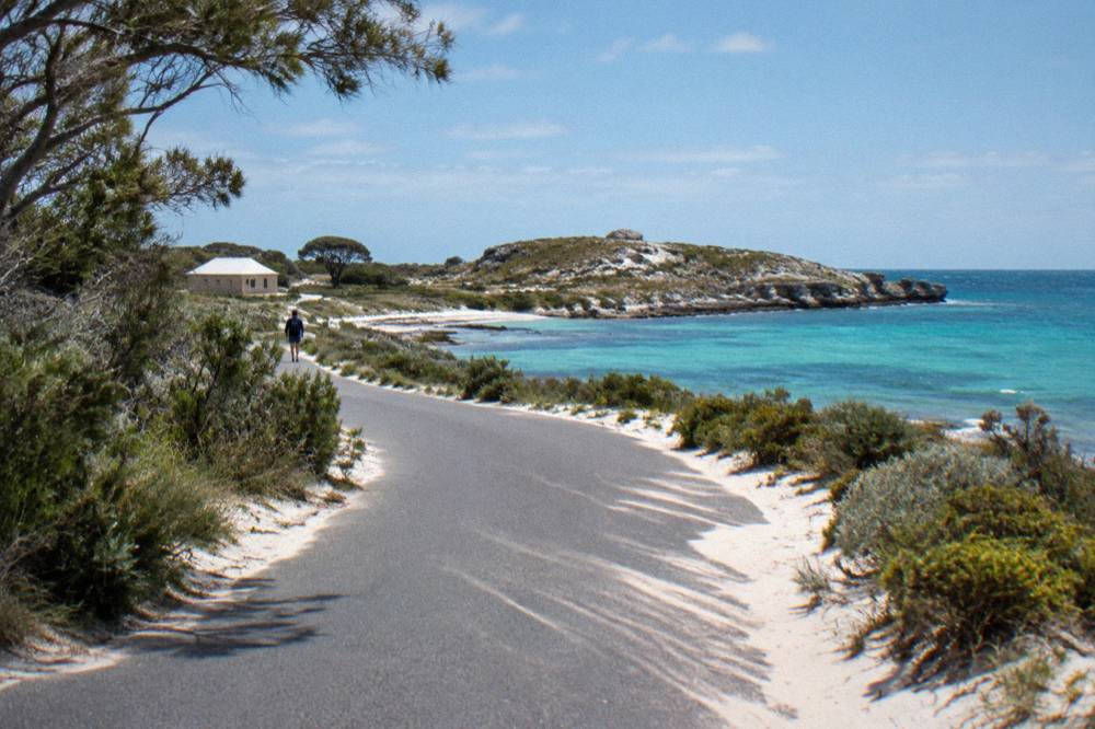 A coastal cycling path curving along turquoise water toward a low limestone headland