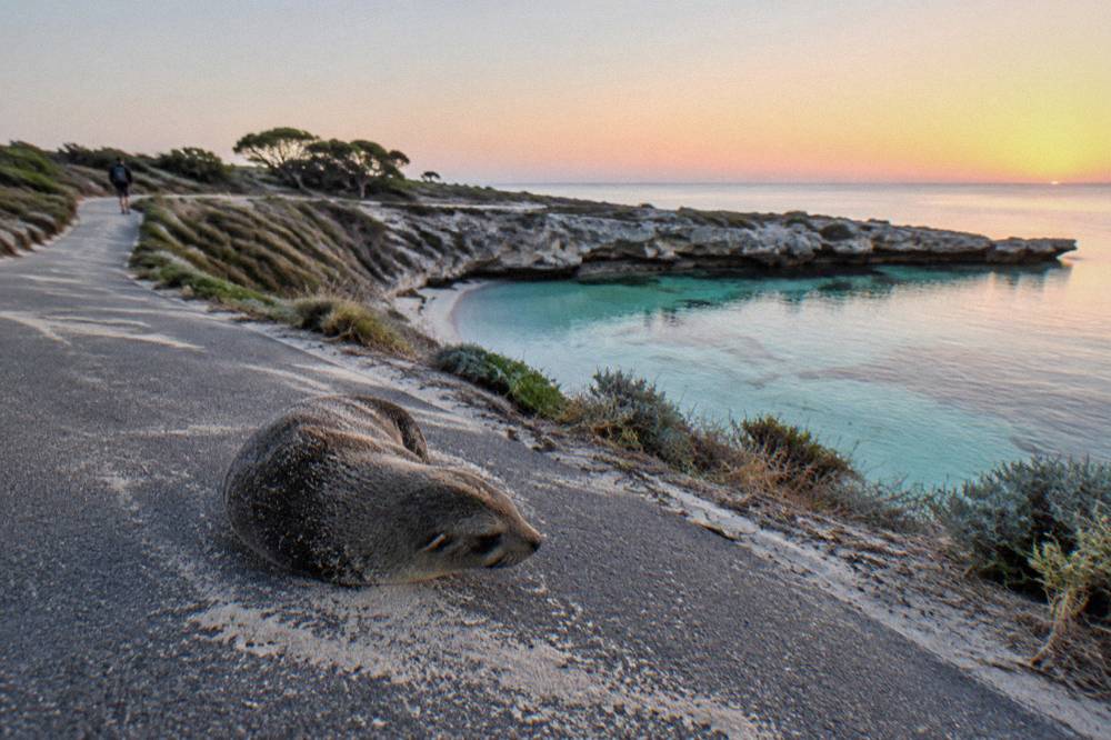 A sealed cycle path curving along a coastline with white sand and clear shallow water