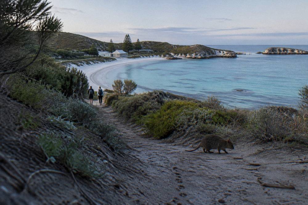 A sandy walking path through low coastal scrub toward clear water