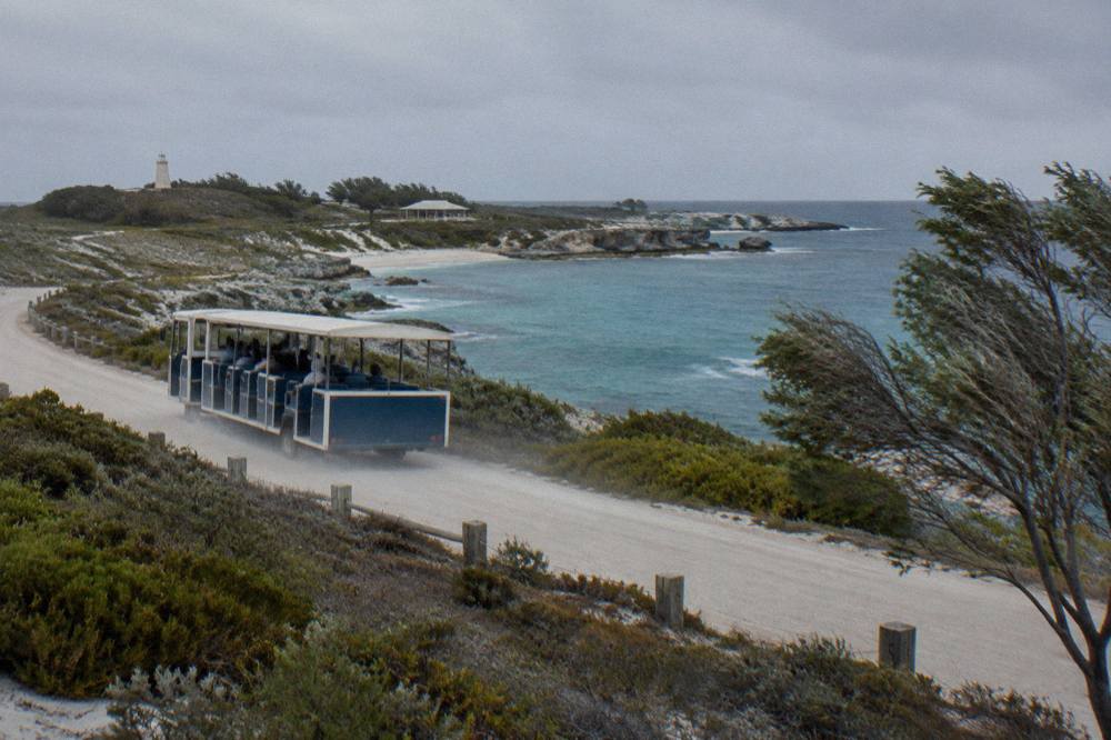 An open-sided hop-on hop-off bus travelling along a coastal road on Rottnest Island