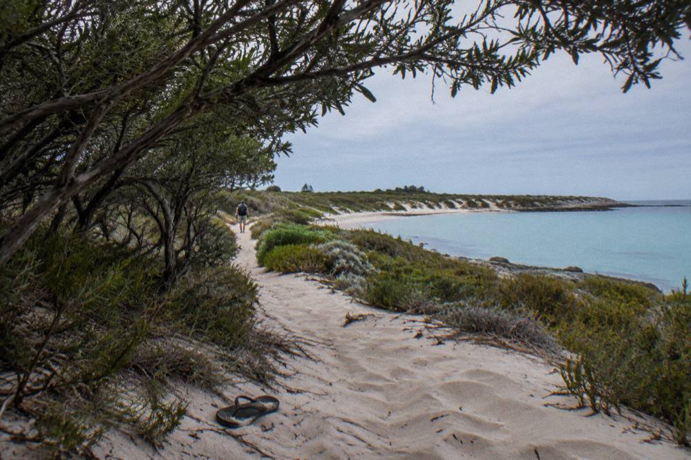 Bicycles parked on a sandy path beside low coastal scrub near a calm bay