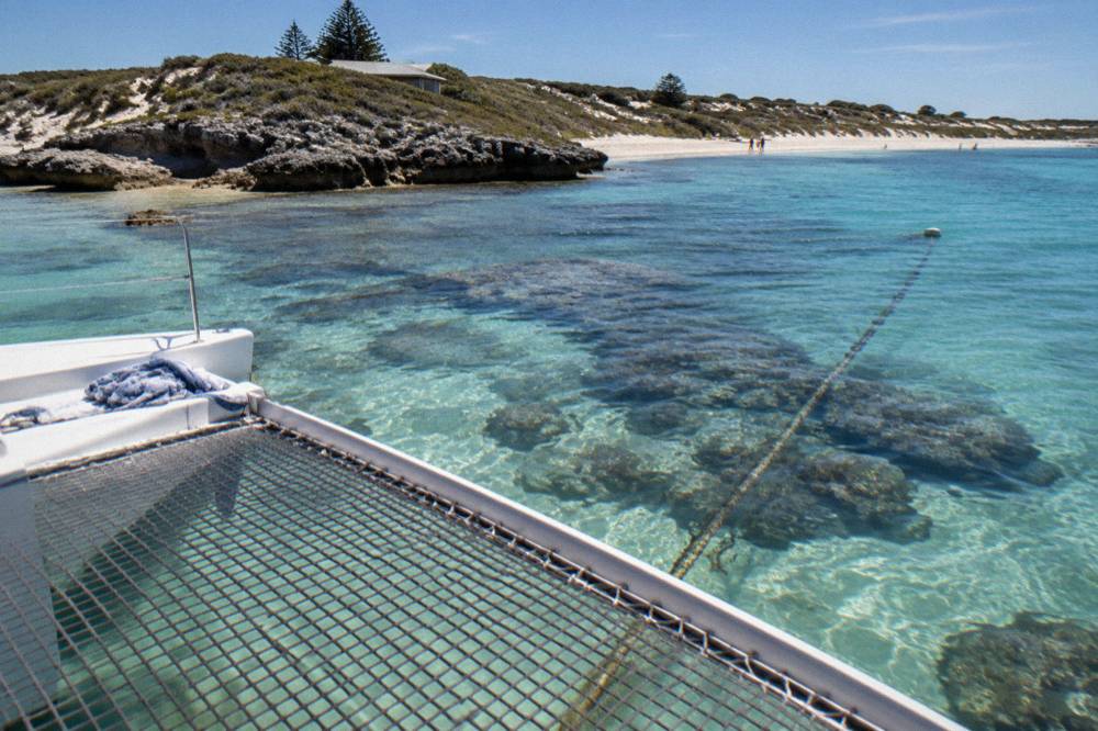 A catamaran anchored in clear shallow water above a coral reef