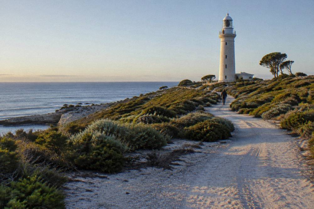 A smooth cycle path winding past low coastal scrub toward a lighthouse on a hill