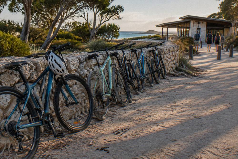 Bikes parked in a row near the Thomson Bay settlement on Rottnest Island