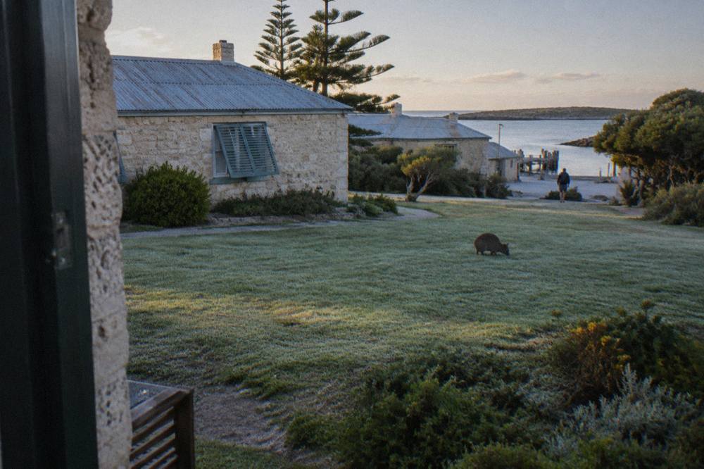 Morning light on the lawn and low buildings of the Thomson Bay settlement