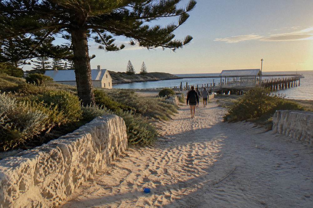 A quiet settlement path in late afternoon light with low coastal vegetation