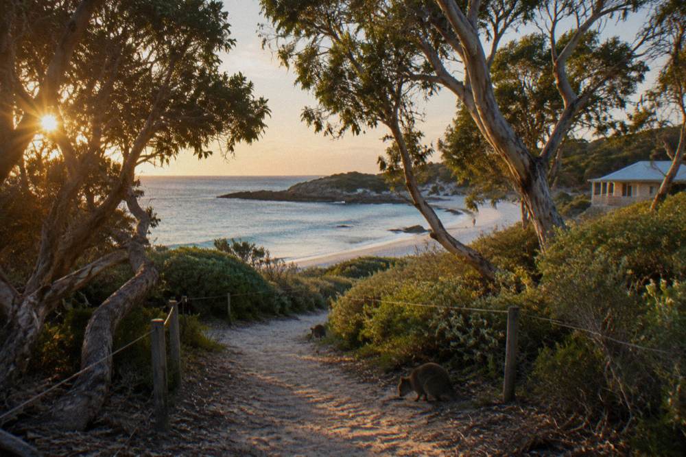 A shaded footpath beside white sand and turquoise water where quokkas gather at dusk