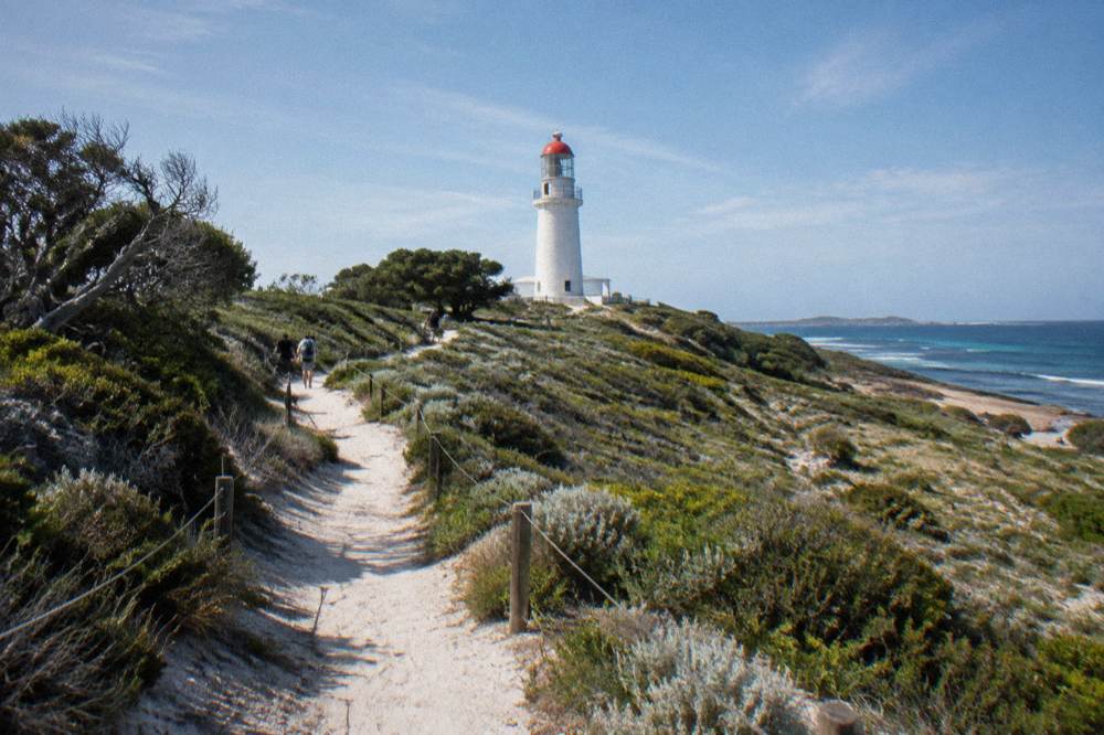 A sandy walking trail winding through low coastal scrub toward a white lighthouse on a headland