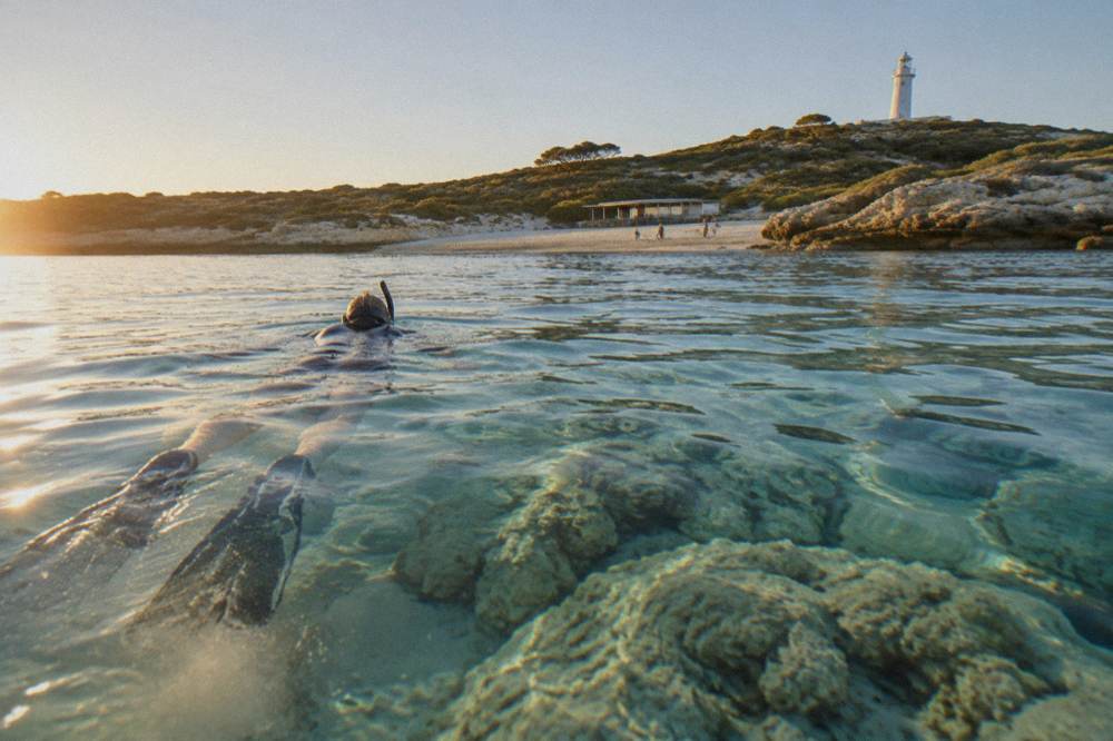 Snorkellers floating above a shallow coral reef in clear water