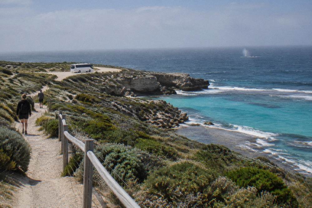 Tour bus parked at a lookout above ocean cliffs at the West End of Rottnest Island