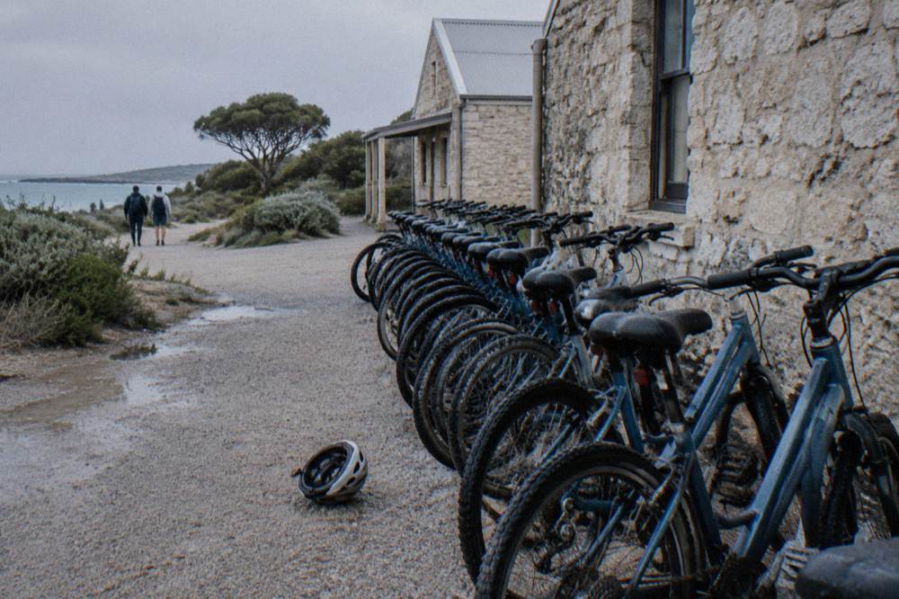 Bikes lined up for hire near the settlement at Thomson Bay