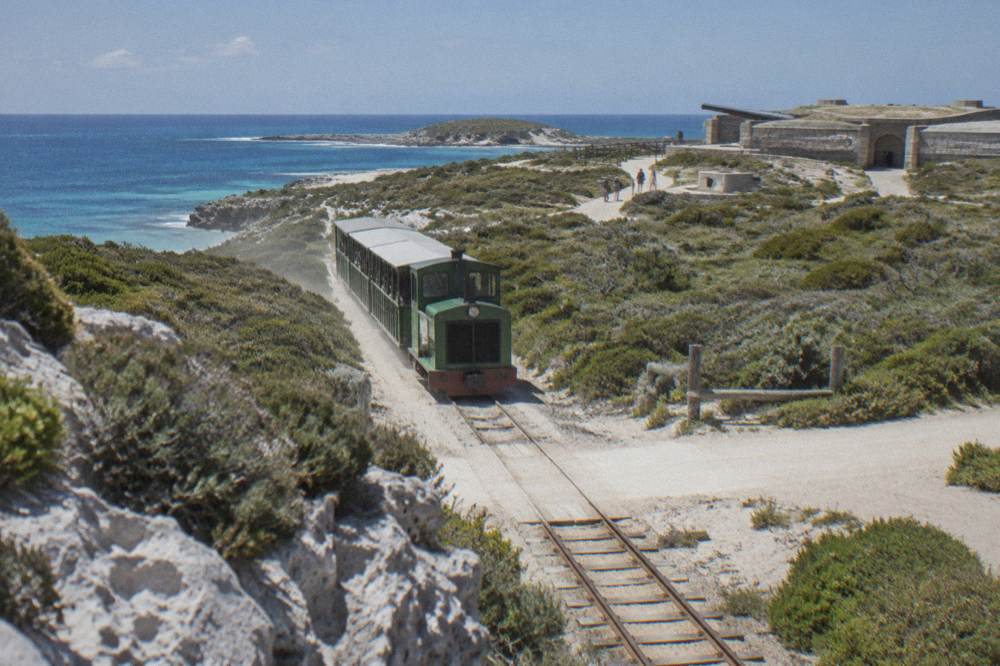 A heritage-style train on an island railway line beside low coastal scrub