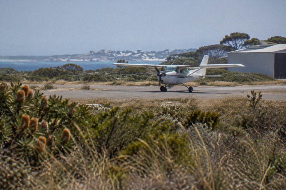 A small plane on a grass airstrip beside coastal scrub