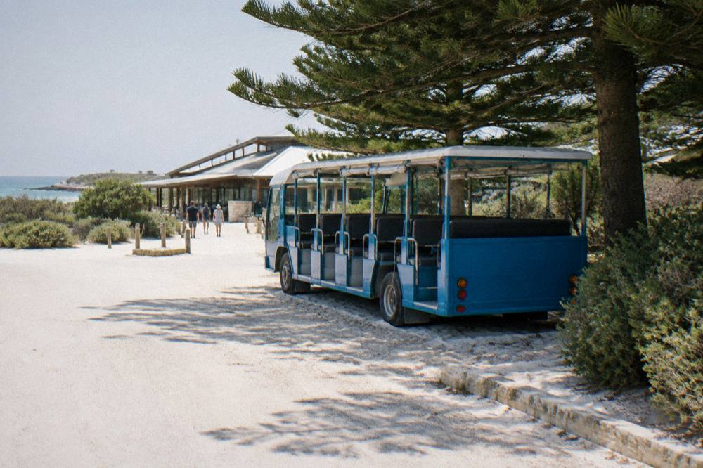 A hop-on hop-off tour bus parked near the settlement with bicycles and palm trees nearby