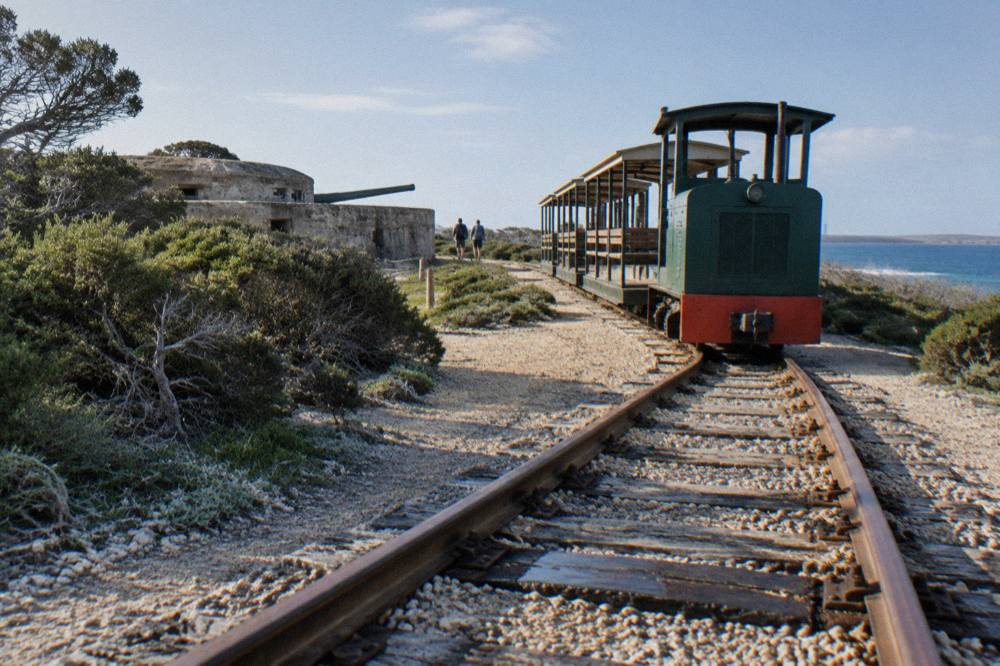 Narrow-gauge heritage train waiting on tracks beside low island scrub