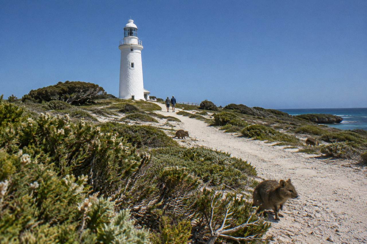 White lighthouse tower above low coastal scrub on a sunny island afternoon