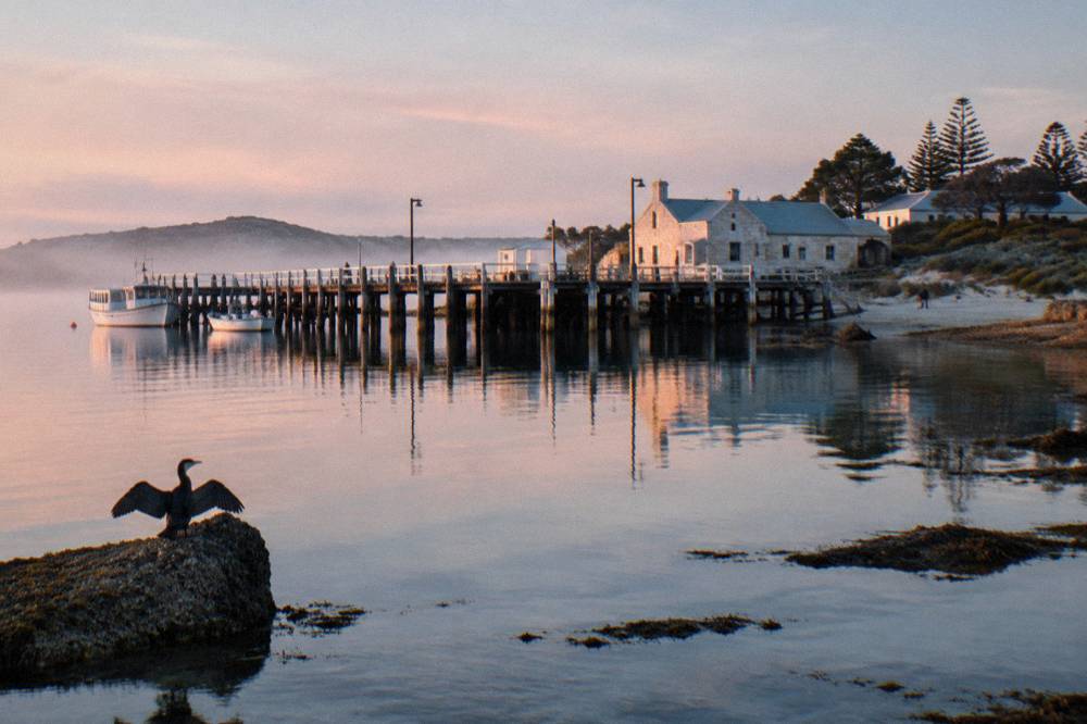 Wooden jetty at Thomson Bay with moored boats and calm morning water